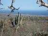 Photo of Lots/Land For sale in Cabo San Lucas, Baja California Sur, Mexico - Sin Nombre
